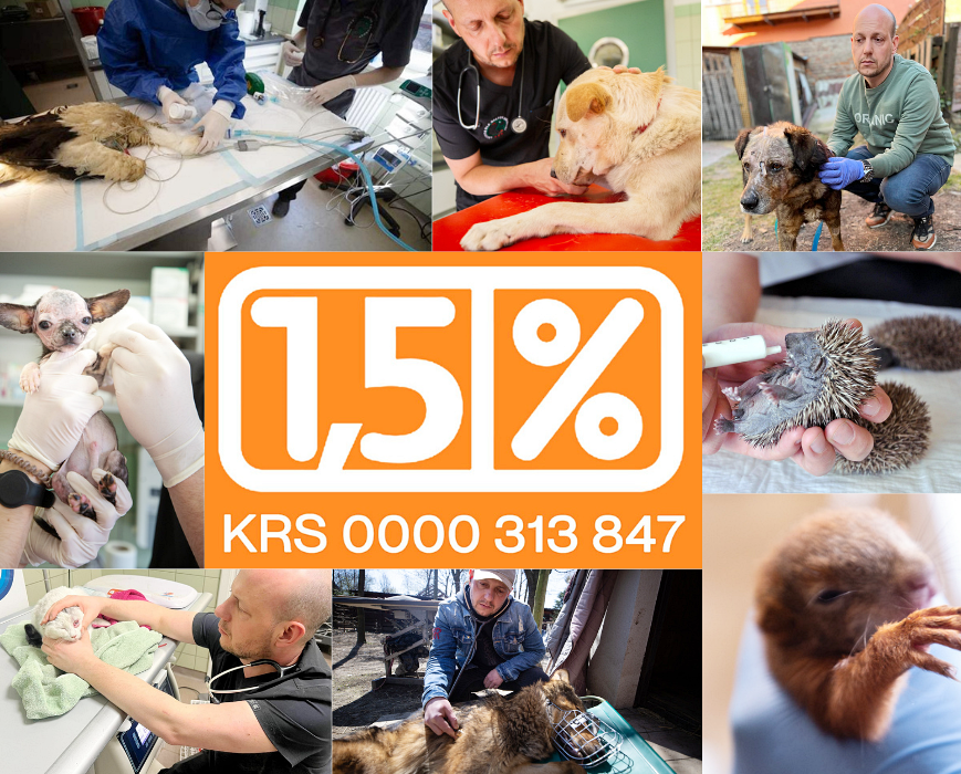 Podopieczni Fundacji ADA